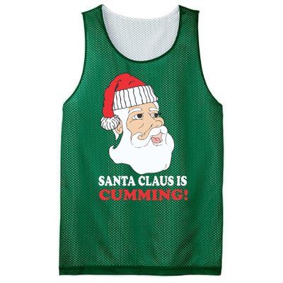 Santa Claus Is Cumming Dirty Humor Mesh Reversible Basketball Jersey Tank