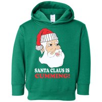 Santa Claus Is Cumming Dirty Humor Toddler Hoodie