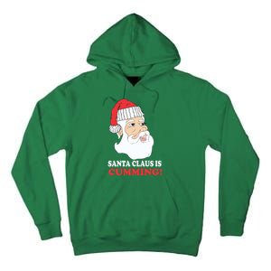 Santa Claus Is Cumming Dirty Humor Tall Hoodie