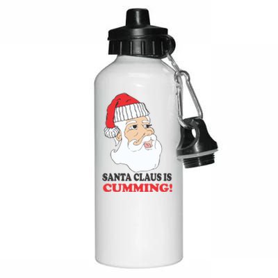 Santa Claus Is Cumming Dirty Humor Aluminum Water Bottle 