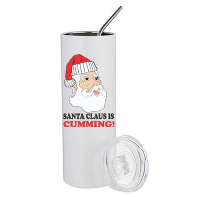 Santa Claus Is Cumming Dirty Humor Stainless Steel Tumbler