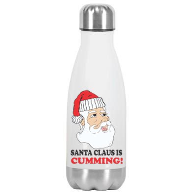 Santa Claus Is Cumming Dirty Humor Stainless Steel Insulated Water Bottle