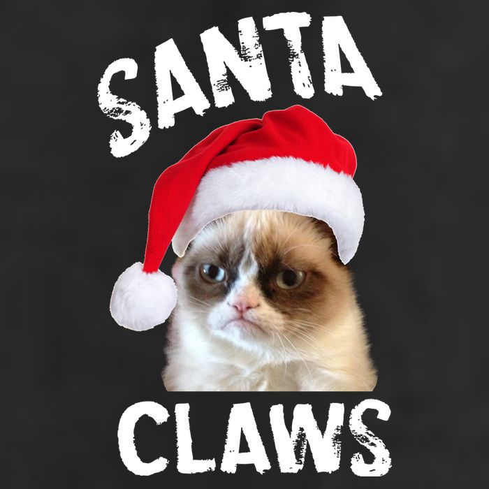 Santa Claws Hat