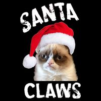 Santa Claws Kids Hoodie