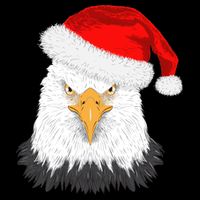 Santa Eagle 16 in Basic Backpack