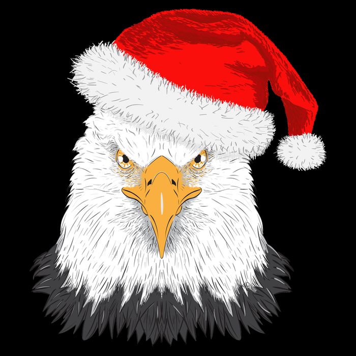 Santa Eagle 16 in Basic Backpack