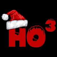 Santa HO HO3 Christmas Funny Mug