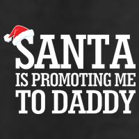 Santa Is Promoting Me To Daddy 7 Panel Mesh Trucker Snapback Hat