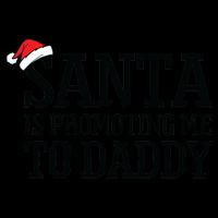 Santa Is Promoting Me To Daddy 16oz Travel Tumbler