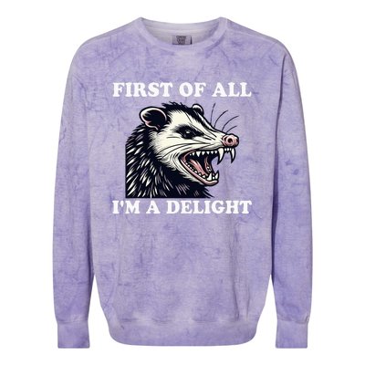 Sarcastic Angry Opossum Lover First Of All IM A Delight Colorblast Crewneck Sweatshirt