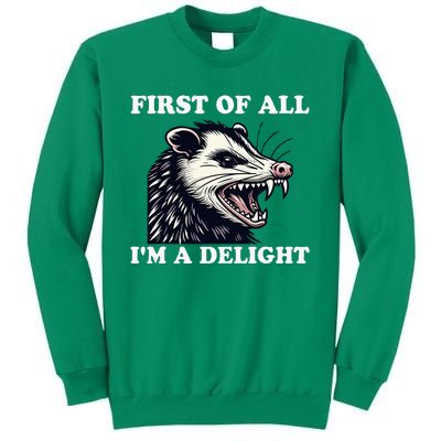 Sarcastic Angry Opossum Lover First Of All IM A Delight Sweatshirt