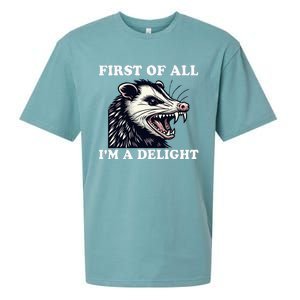 Sarcastic Angry Opossum Lover First Of All IM A Delight Sueded Cloud Jersey T-Shirt