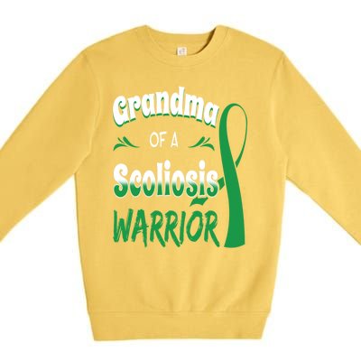 Scoliosis Awareness Orthopedic Scoliometer Grandma Grandmom Premium Crewneck Sweatshirt