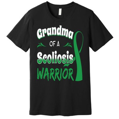 Scoliosis Awareness Orthopedic Scoliometer Grandma Grandmom Premium T-Shirt