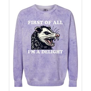 Sarcastic Angry Opossum Lover First Of All IM A Delight Colorblast Crewneck Sweatshirt