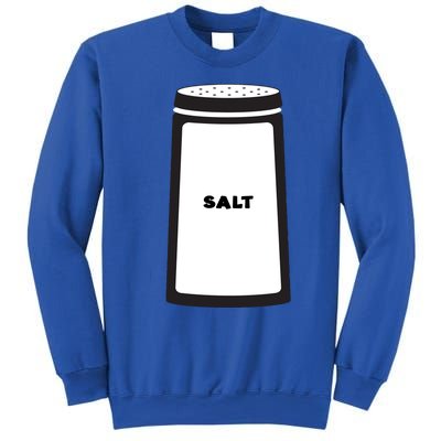 Salt And Pepper Best Friend Funny Halloween Gift Sweatshirt