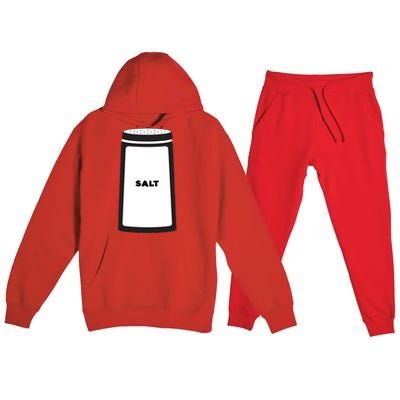 Salt And Pepper Best Friend Funny Halloween Gift Premium Hooded Sweatsuit Set