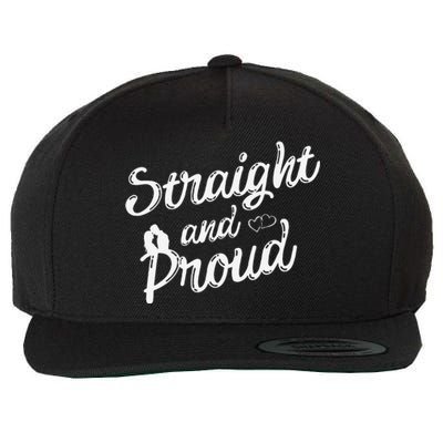 Straight And Proud Heterosexual Anti PC Funny Wool Snapback Cap