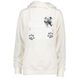 Save A Pitbull Euthanize A Dog Fighter Pit Bull Gift Womens Funnel Neck Pullover Hood