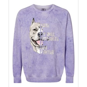 Save A Pitbull Euthanize A Dog Fighter Shirts Dogs Lover Gift Colorblast Crewneck Sweatshirt