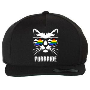 Straight Ally Pride Flag Cat Purrride Funny Straight Ally Gift Wool Snapback Cap