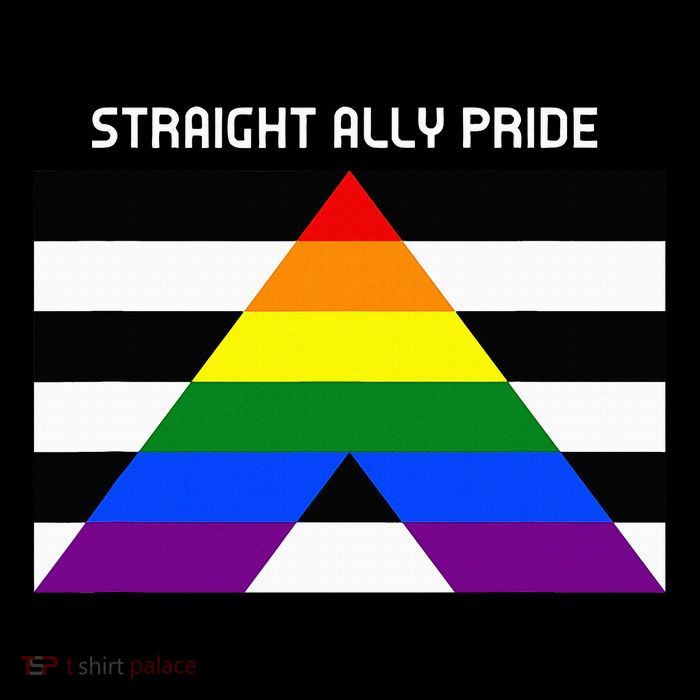 Straight Ally Pride Flag For Any Proud Heterosexual Ally Flexfit Unipanel Trucker Cap