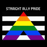 Straight Ally Pride Flag For Any Proud Heterosexual Ally 7-Panel Snapback Hat