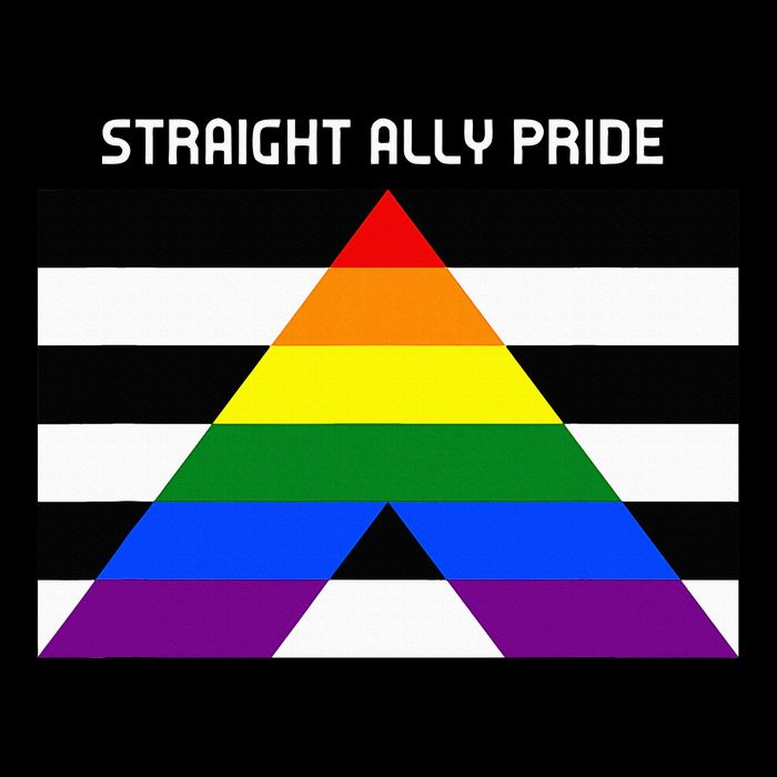 Straight Ally Pride Flag For Any Proud Heterosexual Ally 7-Panel Snapback Hat