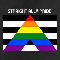 Straight Ally Pride Flag For Any Proud Heterosexual Ally Hat