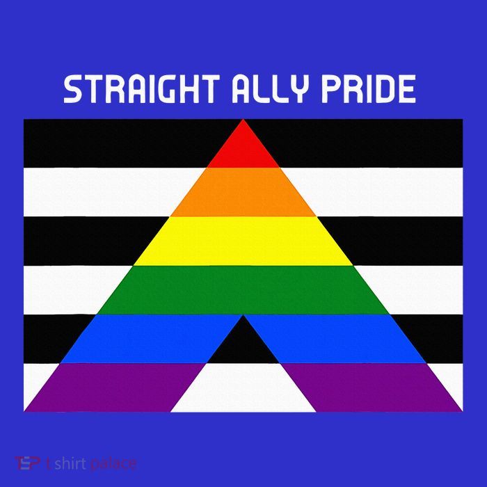 Straight Ally Pride Flag For Any Proud Heterosexual Ally Hoodie