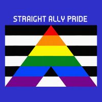 Straight Ally Pride Flag For Any Proud Heterosexual Ally Button