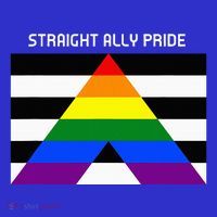 Straight Ally Pride Flag For Any Proud Heterosexual Ally 16 in Basic Backpack
