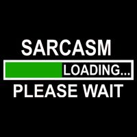 Sarcasm Loading Please Wait Hoodie