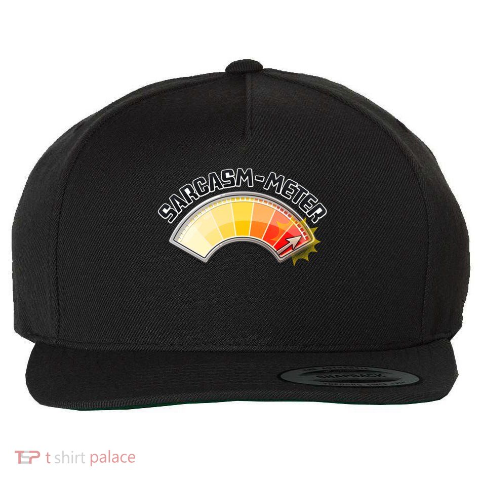 Sarcasm Meter High Wool Snapback Cap