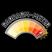 Sarcasm Meter High Wool Snapback Cap