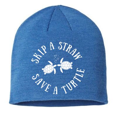 Skip A Straw Save A Turtle Cute Turtle Graphic Gift Sustainable Beanie