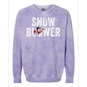 Snowman And Snow Blower Couples Matching Christmas Costume Rude Couples Xmas Colorblast Crewneck Sweatshirt