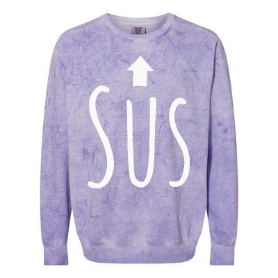 Sus (Arrow) Colorblast Crewneck Sweatshirt