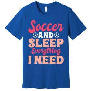 Soccer And Sleep Everything I Need Soccer Goalie Gift Premium T-Shirt