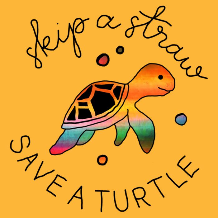 Skip A Straw Save A Turtle Gift Pom Pom 12in Knit Beanie