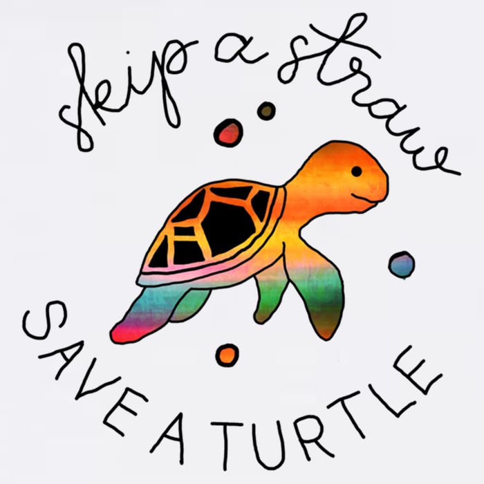 Skip A Straw Save A Turtle Gift Hoodie