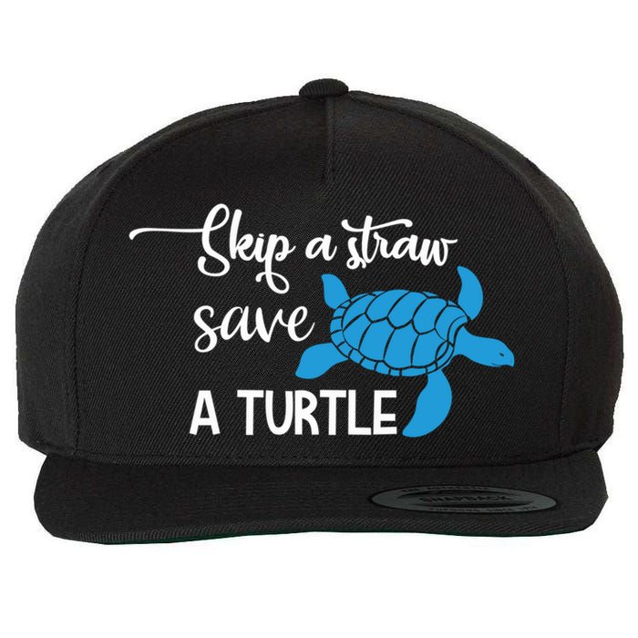 Skip A Straw Save A Turtle Animal Protection Gift Cool Gift Wool Snapback Cap