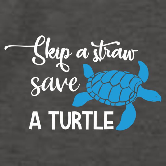 Skip A Straw Save A Turtle Animal Protection Gift Cool Gift Vector Backpack