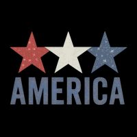 Stars and Stripes: America Zip Tote Bag