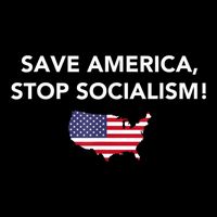 Save America Stop Socialism Cropped Pullover Crew