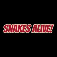 Snakes Alive Short Acrylic Beanie