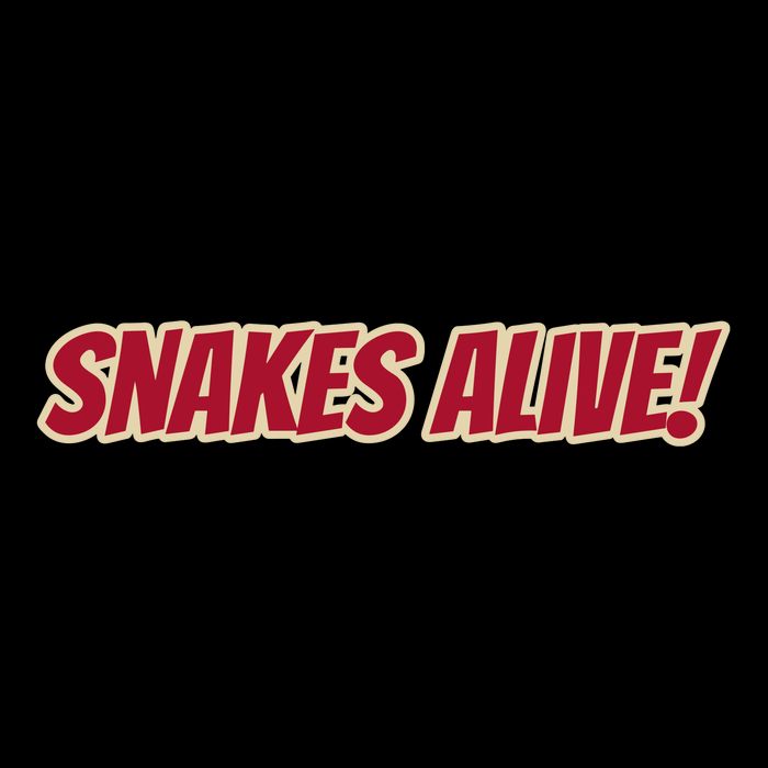 Snakes Alive Short Acrylic Beanie