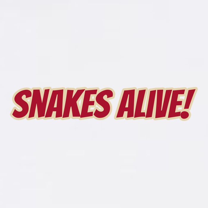 Snakes Alive Garment-Dyed Sweatshirt