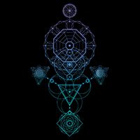 Starseed Activation Sacred Geometry Doggie Tank