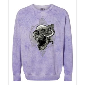 Skull And Snake Colorblast Crewneck Sweatshirt